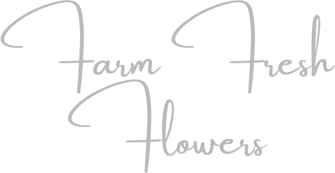 Farm Fresh Flowers